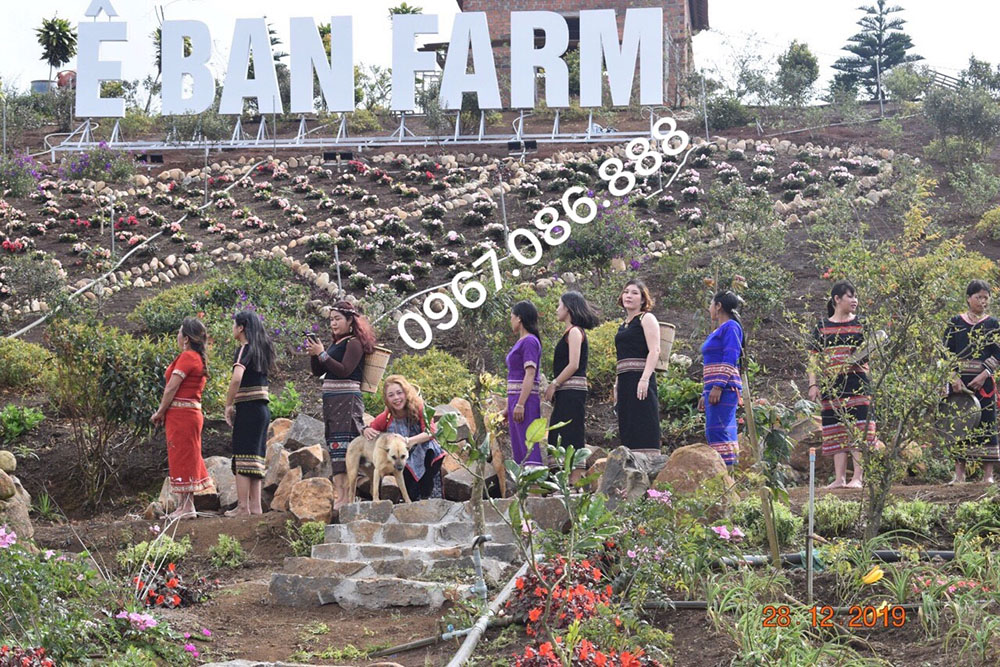 Dự án thi công lợp lá dừa nước nhân tạo khu du lịch sinh thái Eban farm kontum